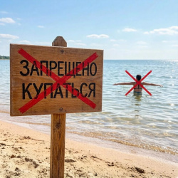 Купание под запретом: как понять, что водоем опасен для здоровья
