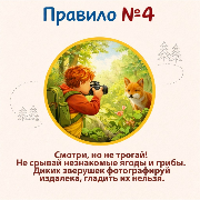 3240-3240-max (4).png