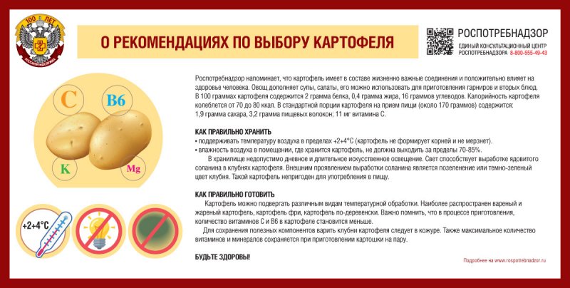 О рекомендациях по выбору картофеля