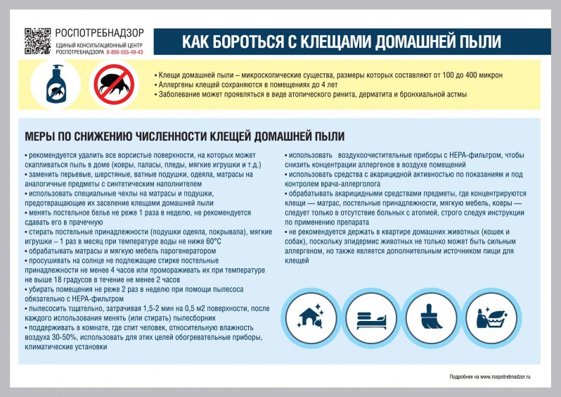 О рекомендациях, как бороться с клещами домашней пыли