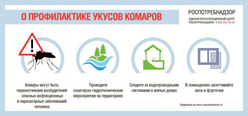 О профилактике укусов комаров