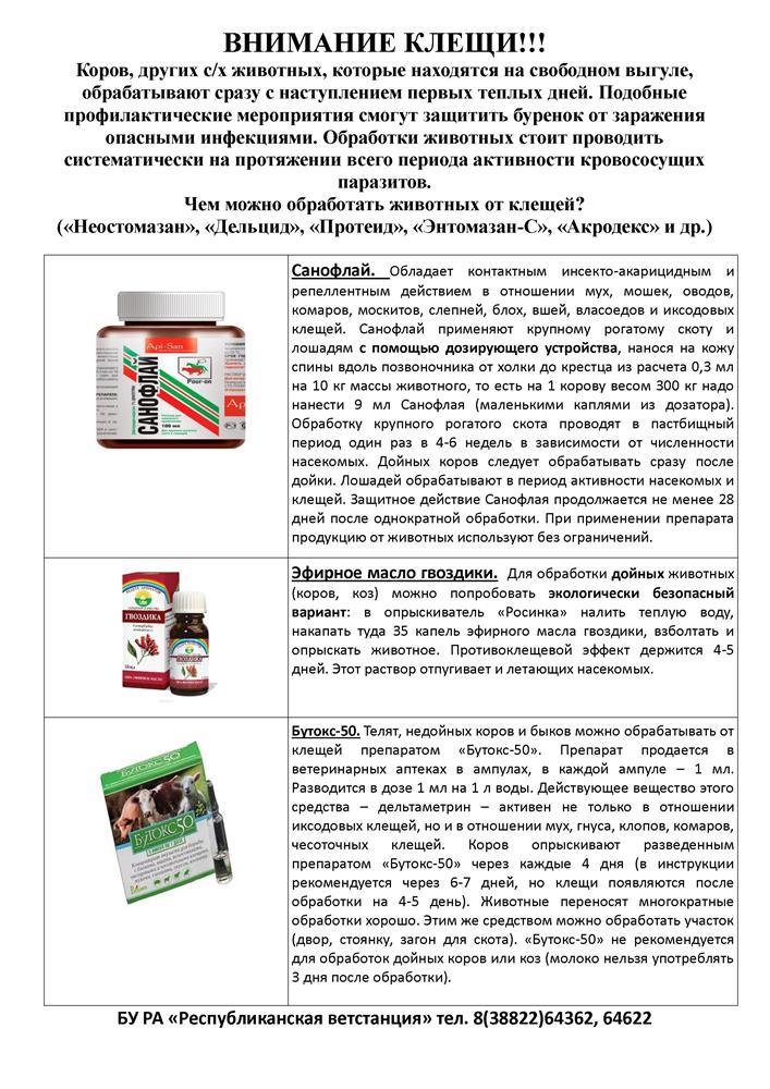 Акарицидные обработки животных: памятка для населения и комментарии к ней