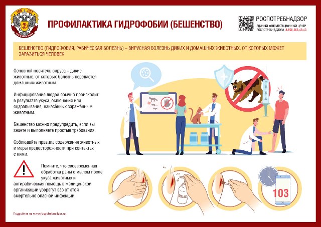 О профилактике бешенства