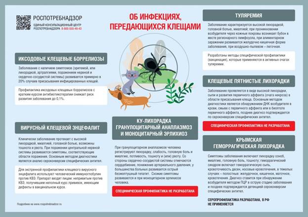 Клещи в Республике Алтай все еще активны