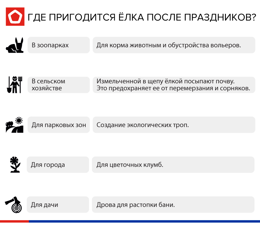 Как убрать ёлку после праздников?