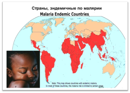 25 апреля - Всемирный день борьбы с малярией