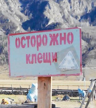 Что делать, чтобы не стать жертвой клеща?