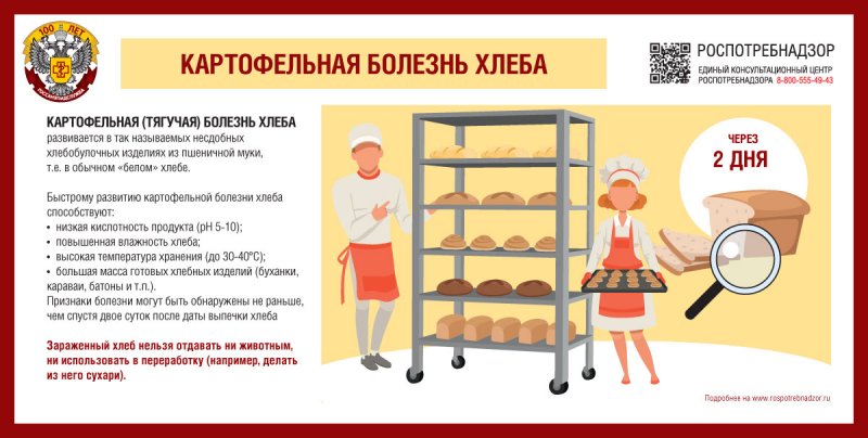 О профилактике картофельной болезни хлеба