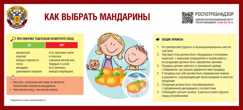 В преддверии новогодних праздников Роспотребнадзор рекомендует, как выбрать самые «праздничные» фрукты – мандарины.
