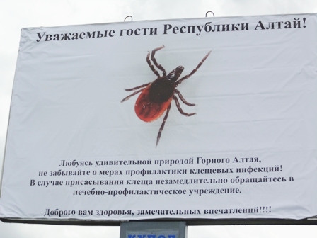 О мерах профилактики клещевых инфекций Отчет информационной акции.