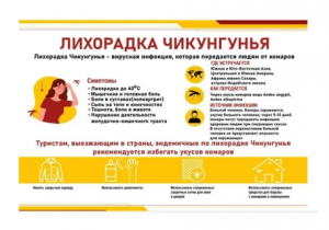 Лихорадка чикунгунья