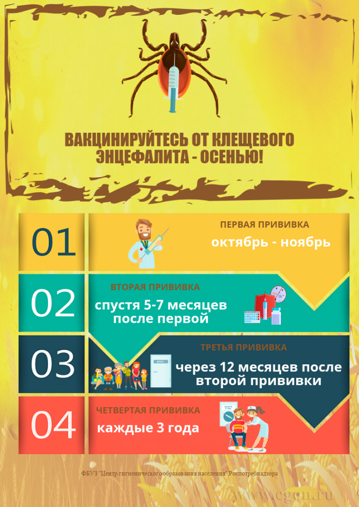Осень - время для вакцинации от клещевого энцефалита