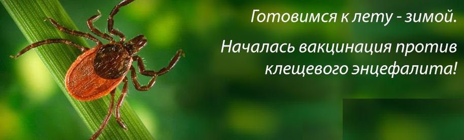 Время прививаться против клещевого энцефалита