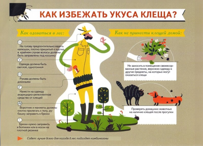 Учимся защищаться от клещей