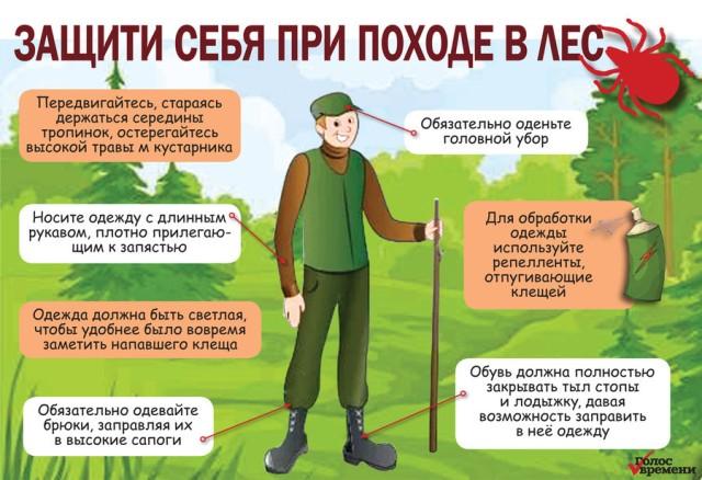 Число пострадавших от присасывания клещей растёт