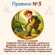 3240-3240-max (3).png